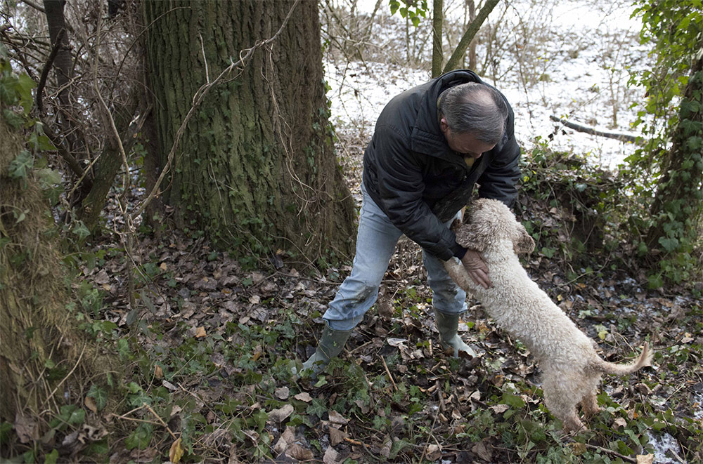 Wines Truffle hunter Leda